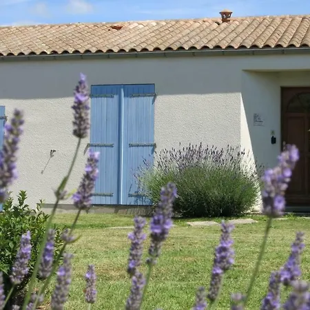 Les Lavandes Etaules (Charente-Maritime)