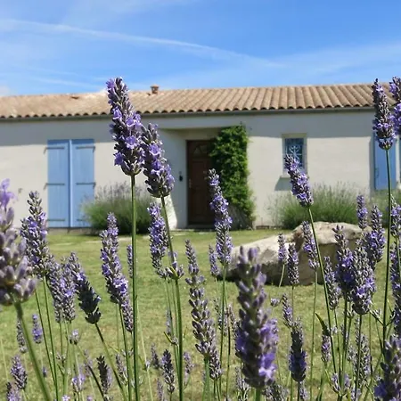 Les Lavandes Etaules (Charente-Maritime)